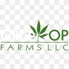 Cannabis Leaf, HD Png Download - cannabis plant png