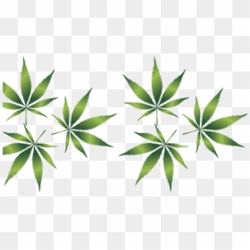 Weed Background Png Transparent, Png Download - cannabis plant png
