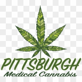 Herbal, HD Png Download - cannabis plant png