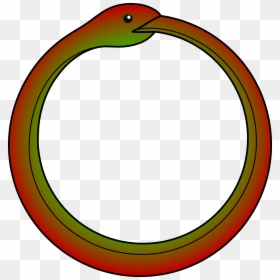 Cartoon Snake In A Circle, HD Png Download - homunculus symbol png