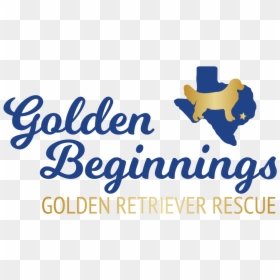 Golden Retriever, HD Png Download - rainbow bridge png