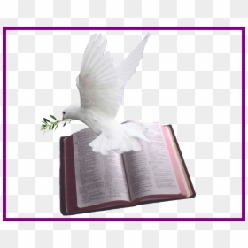 Holy Bible And Dove, HD Png Download - open holy bible png