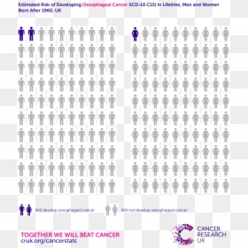 Azathioprine Risk Of Lymphoma, HD Png Download - esophagus png