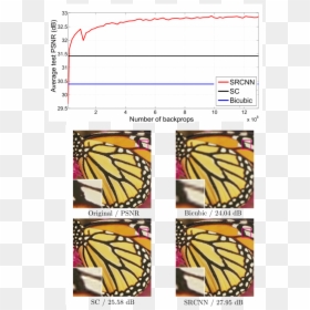Super Resolution Butterfly, HD Png Download - ay yıldız png