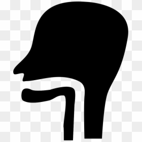 Clip Art, HD Png Download - esophagus png
