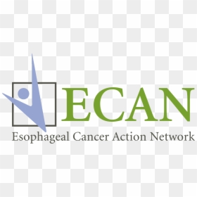Graphic Design, HD Png Download - esophagus png