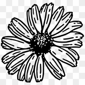 Black And White Daisy Clip Art, HD Png Download - daisy png