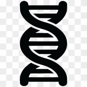 Dna Clipart Black And White, HD Png Download - dna png