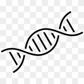 Dna Black And White Clipart, HD Png Download - dna png