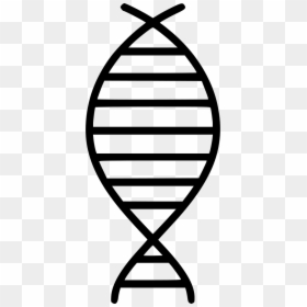 Thank You Images Genetics, HD Png Download - dna png