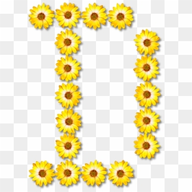 Huruf U, HD Png Download - daisy png