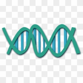 Dna Clip Art, HD Png Download - dna png