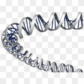 Emblem, HD Png Download - dna png