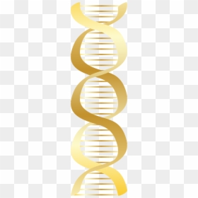Dna Gold Clipart, HD Png Download - dna png