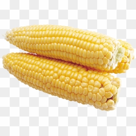 Maize, HD Png Download - corn png