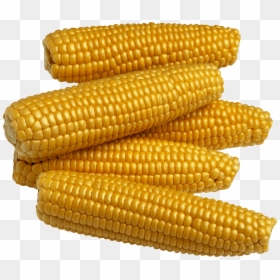 Corn For Kids, HD Png Download - corn png