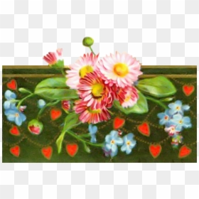Daisy Png, Transparent Png - daisy png