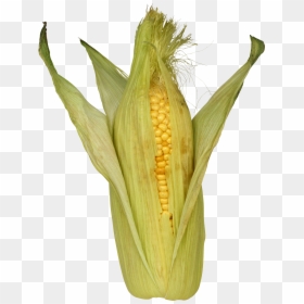 Кукурудза Png, Transparent Png - corn png