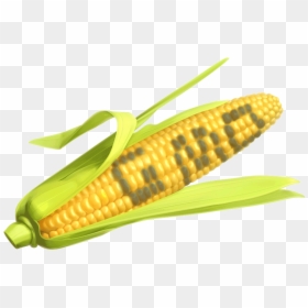 Corn The Says Gmo, HD Png Download - corn png