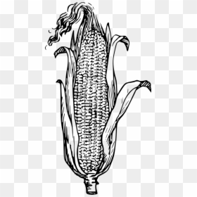 Corn Black And White, HD Png Download - corn png