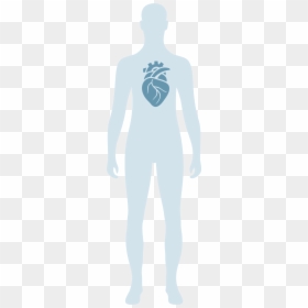 Clip Art, HD Png Download - corazon png