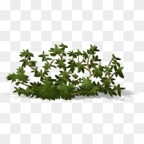 Bioretention Cell Transparent, HD Png Download - shrub png