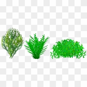 Bush Clip Art, HD Png Download - shrub png