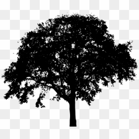 Tree Black Silhouette Png, Transparent Png - shrub png