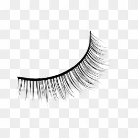 Eyelash Extensions, HD Png Download - eyelashes png