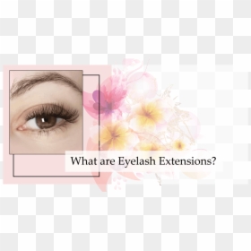 Eyelash Extensions, HD Png Download - eyelashes png