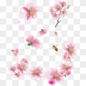 Pink Flowers Png, Transparent Png - spring png
