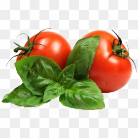 Transparent Vegetable Png, Png Download - tomato png