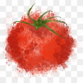 Chalk Tomato Png, Transparent Png - tomato png