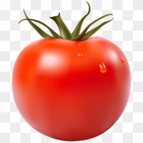 Tomate Png, Transparent Png - tomato png