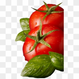 Tomato Leaves Png, Transparent Png - tomato png