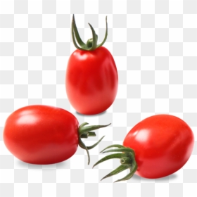 Plum Tomato, HD Png Download - tomato png
