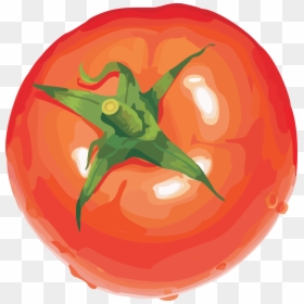Tomato Drawing Transparent Background, HD Png Download - tomato png