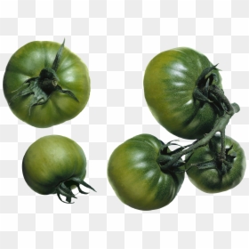 Green Tomato Png, Transparent Png - tomato png