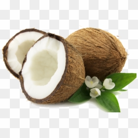 Coconut Png, Transparent Png - coconut png