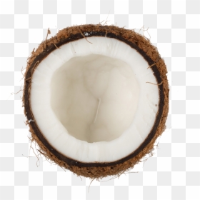 Coconut Png Transparent, Png Download - coconut png