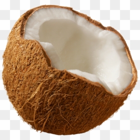 Coconut Png, Transparent Png - coconut png