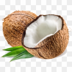Coconut Png, Transparent Png - coconut png