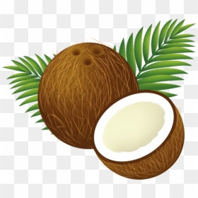 Transparent Background Coconut Clipart, HD Png Download - coconut png