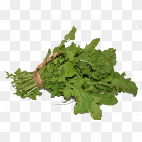 Parsley, HD Png Download - arugula png