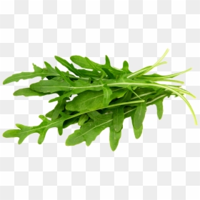 Rocket Herb, HD Png Download - arugula png