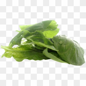 Zinc Vegan, HD Png Download - arugula png