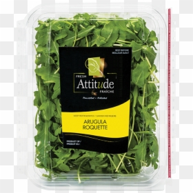 Fresh Attitude Arugula, HD Png Download - arugula png
