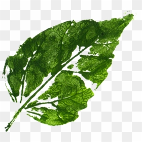 Mustard Greens, HD Png Download - arugula png