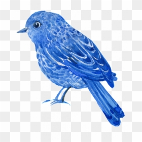 Mountain Bluebird, HD Png Download - flying books png