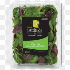 Fresh Attitude, HD Png Download - arugula png